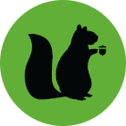 squirrel_plays logo